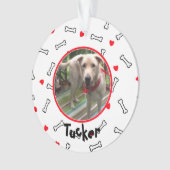 Red Hearts White Bones Photo Chien (devant)