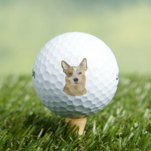 Red Heeler Australian Cattledog Golfballen (Insitu Shirt)