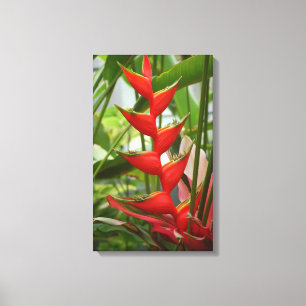 Red Heliconia Canvas Afdruk