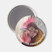Red Hen Works for Chickenfeed Funny Magnet (Recto/Verso)