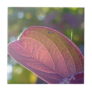 Red Herfst Leaf en Bokeh Tegeltje