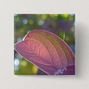 Red Herfst Leaf en Bokeh Vierkante Button 5,1 Cm