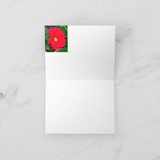 Red Hibicus Note card (Intérieur)