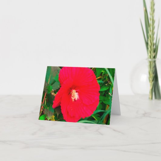 Red Hibicus Note card (Devant)