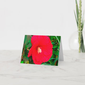 Red Hibicus Note card Notitiekaartje