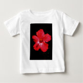 Red Hibiscus (Voorkant)