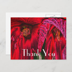 Red Hibiscus Abstract Floral Dank u Briefkaart