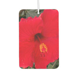 Red Hibiscus Air Frehener Luchtverfrisser