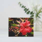 Red Hibiscus Briefkaart (Staand voorkant)