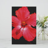 Red Hibiscus Briefpapier (Staand voorkant)