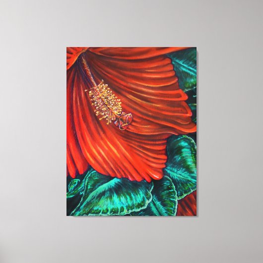 Red Hibiscus - Canvas Afdrukken (Voorkant)