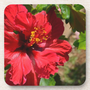 Red Hibiscus Cork Onderzetter