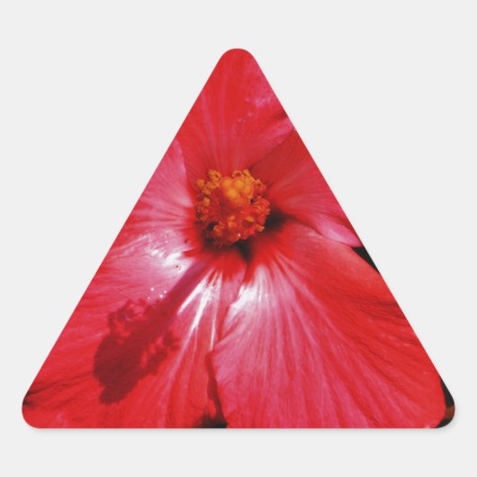 Red Hibiscus Driehoek Sticker (Voorkant)