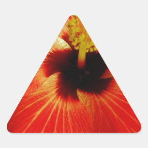 Red Hibiscus Driehoek Sticker