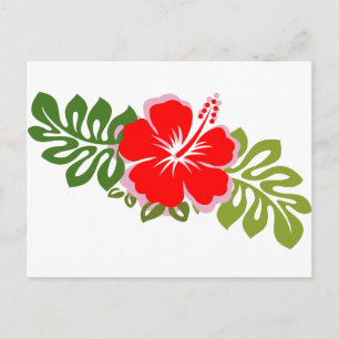 Red Hibiscus en bladeren Briefkaart