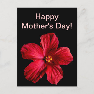 Red Hibiscus Flower Briefkaart