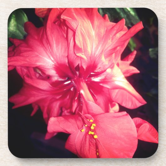 Red Hibiscus Flower Drankjes Onderzetter (Voorkant)