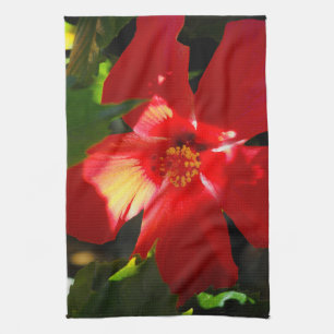 Red Hibiscus Flower in Sunlight Theedoek