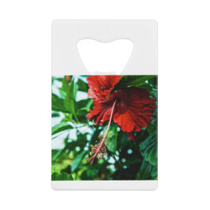 Red Hibiscus Flower Kredietkaart Flessenopener