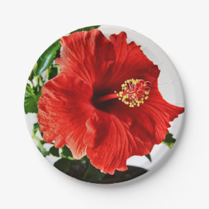 Red Hibiscus Flower Papieren Bordje