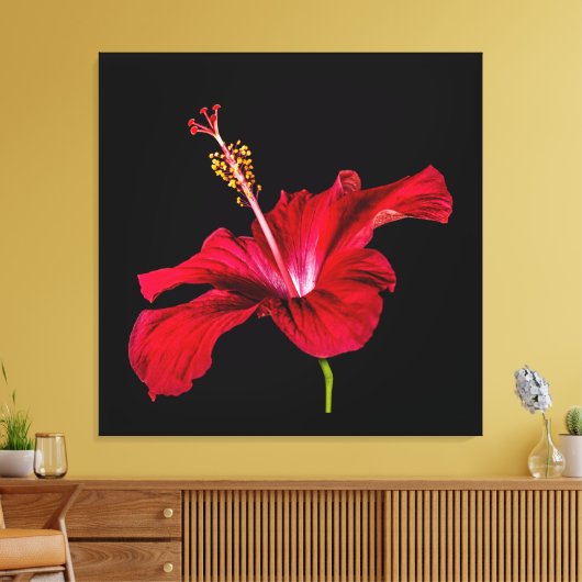 Red Hibiscus Flower Side Uitzicht Canvas Afdruk (Insitu (Woonkamer))
