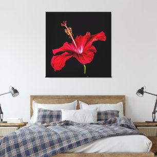 Red Hibiscus Flower Side Uitzicht Canvas Afdruk