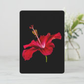 Red Hibiscus Flower Side Uitzicht Kaart (Staand voorkant)