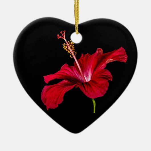 Red Hibiscus Flower Side Uitzicht Keramisch Ornament (Voorkant)