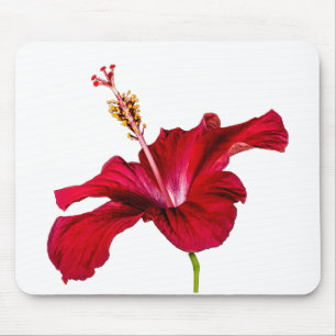 Red Hibiscus Flower Side Uitzicht Muismat