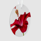 Red Hibiscus Flower Side Uitzicht Ornament (voorkant)