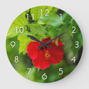 Red Hibiscus Hawaii Tropische Bloem Grote Klok