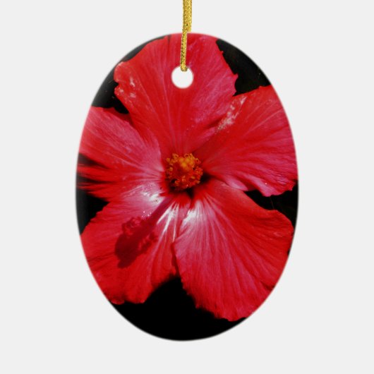 Red Hibiscus Keramisch Ornament (Voorkant)