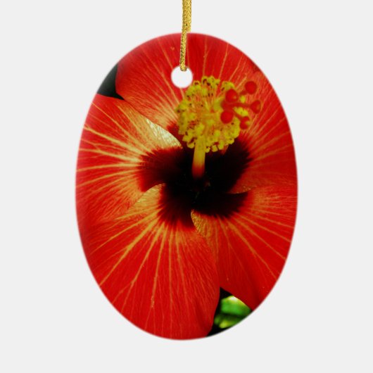 Red Hibiscus Keramisch Ornament (Voorkant)
