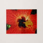 Red Hibiscus Legpuzzel (Horizontaal)