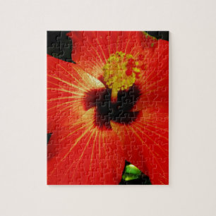 Red Hibiscus Legpuzzel