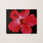 Red Hibiscus Legpuzzel (Horizontaal)
