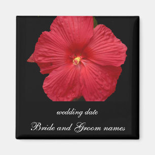 Red Hibiscus Magneet