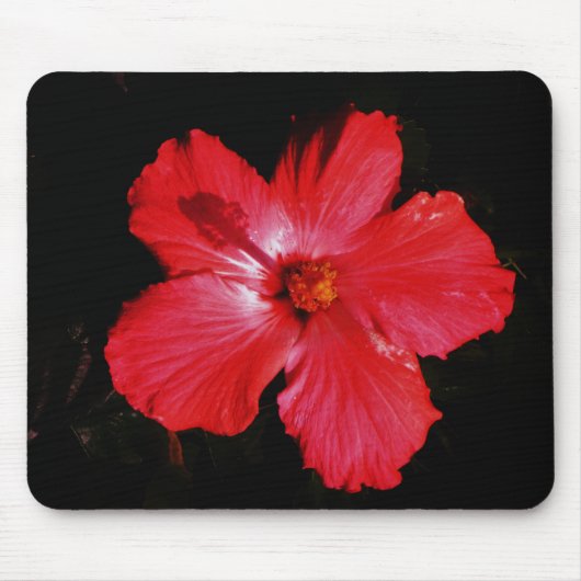 Red Hibiscus Muismat (Voorkant)