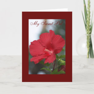 Red Hibiscus, My Secret Pal Kaart