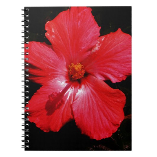 Red Hibiscus Notitieboek (Voorkant)