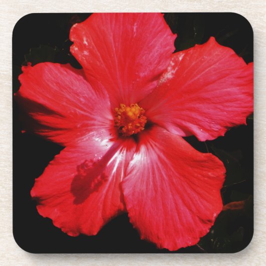 Red Hibiscus Onderzetter (Voorkant)