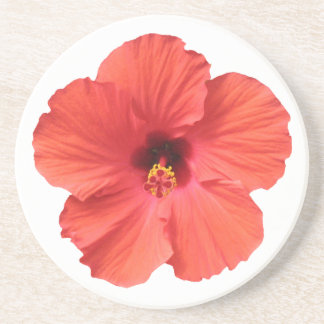 Red Hibiscus onderzetters