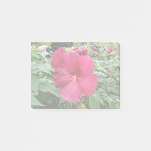 Red Hibiscus Post-it® Notes (Voorkant)