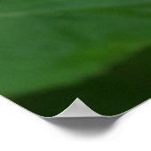 Red Hibiscus Poster (Hoek)