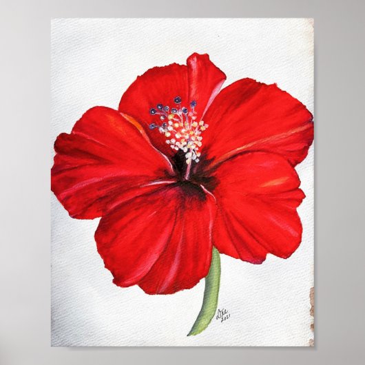 Red Hibiscus Premium Canvas Poster (Voorkant)
