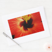 Red Hibiscus Rechthoekige Sticker (Envelop)