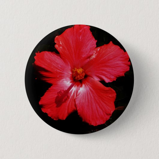 Red Hibiscus Ronde Button 5,7 Cm (Voorkant)