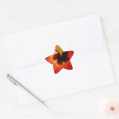 Red Hibiscus Ster Sticker (Envelop)