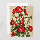 Red Hollyhocks Briefkaart (Voorkant / Achterkant)