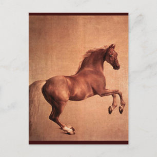 RED HORSE BRIEFKAART